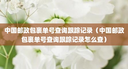 中国邮政包裹单号查询跟踪记录（中国邮政包裹单号查询跟踪记录怎么查）