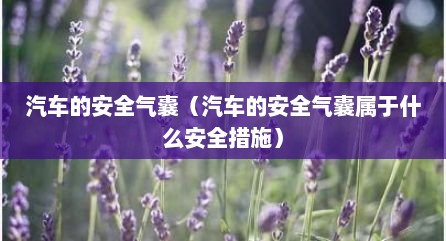 汽车的安全气囊（汽车的安全气囊属于什么安全措施）