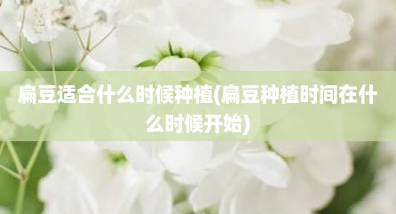 扁豆适合什么时候种植(扁豆种植时间在什么时候开始)