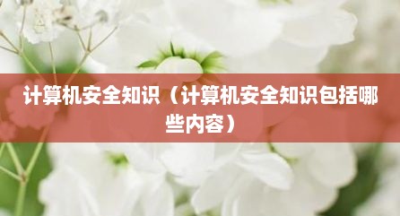 计算机安全知识（计算机安全知识包括哪些内容）