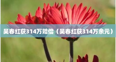 吴春红获314万赔偿（吴春红获314万余元）