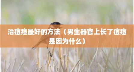 治痘痘最好的方法（男生器官上长了痘痘是因为什么）