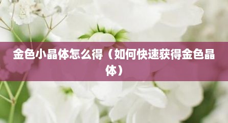 金色小晶体怎么得（如何快速获得金色晶体）