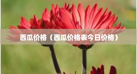 西瓜价格（西瓜价格表今日价格）