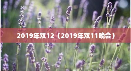 2019年双12（2019年双11晚会）