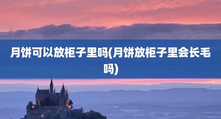 月饼可以放柜子里吗(月饼放柜子里会长毛吗)