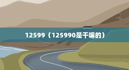 12599（125990是干嘛的）