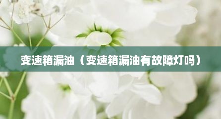 变速箱漏油（变速箱漏油有故障灯吗）