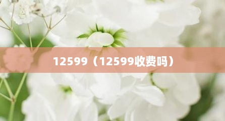 12599（12599收费吗）