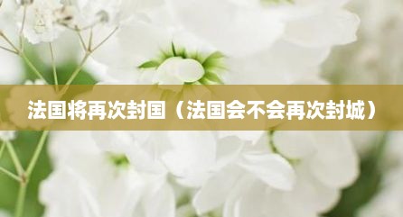 法国将再次封国（法国会不会再次封城）