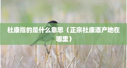 杜康指的是什么意思（正宗杜康酒产地在哪里）