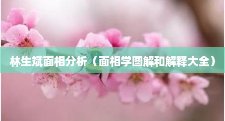 林生斌面相分析（面相学图解和解释大全）