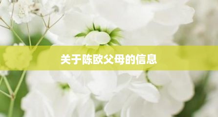 关于陈欧父母的信息