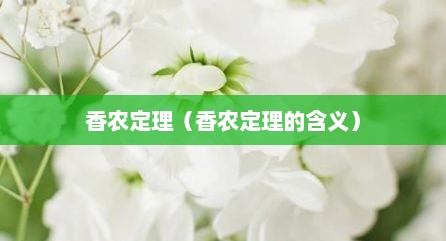 香农定理（香农定理的含义）