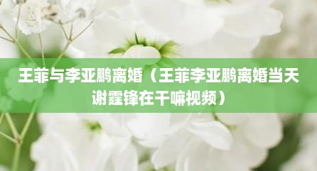 王菲与李亚鹏离婚（王菲李亚鹏离婚当天谢霆锋在干嘛视频）