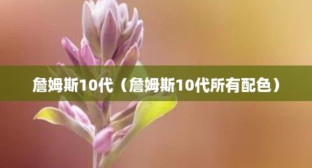 詹姆斯10代（詹姆斯10代所有配色）