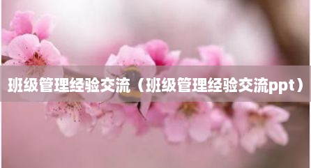 班级管理经验交流（班级管理经验交流ppt）