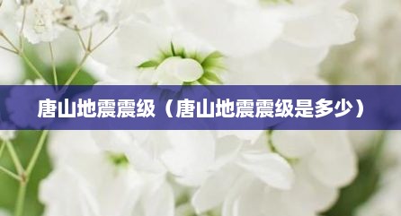 唐山地震震级（唐山地震震级是多少）