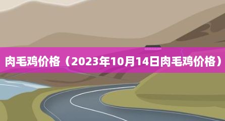 肉毛鸡价格（2023年10月14日肉毛鸡价格）