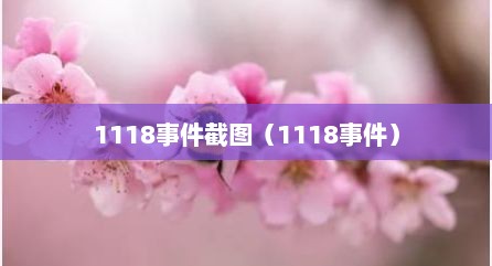 1118事件截图（1118事件）