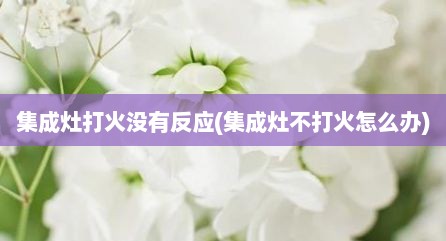 集成灶打火没有反应(集成灶不打火怎么办)