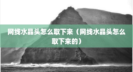 网线水晶头怎么取下来（网线水晶头怎么取下来的）