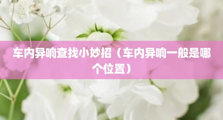 车内异响查找小妙招（车内异响一般是哪个位置）