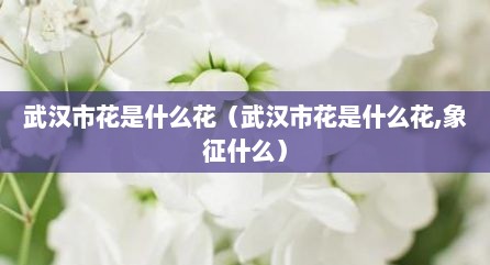 武汉市花是什么花（武汉市花是什么花,象征什么）