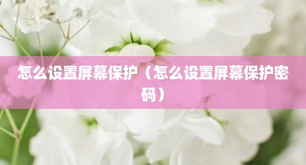 怎么设置屏幕保护（怎么设置屏幕保护密码）