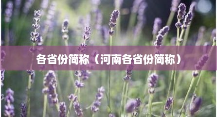 各省份简称（河南各省份简称）