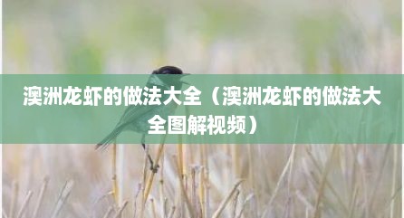 澳洲龙虾的做法大全（澳洲龙虾的做法大全图解视频）