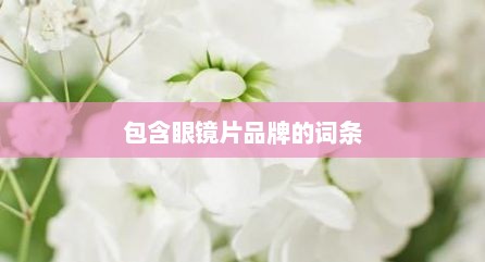 包含眼镜片品牌的词条