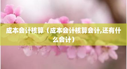 成本会计核算（成本会计核算会计,还有什么会计）