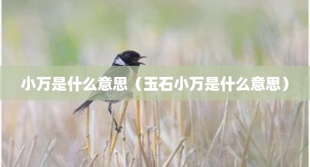 小万是什么意思（玉石小万是什么意思）