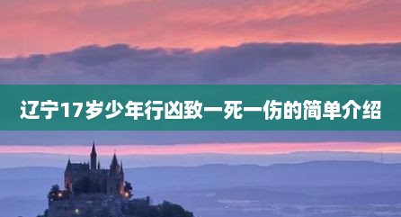 辽宁17岁少年行凶致一死一伤的简单介绍