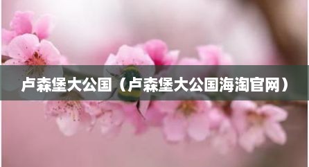 卢森堡大公国（卢森堡大公国海淘官网）