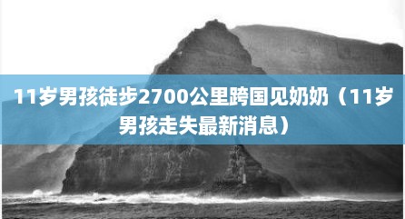 11岁男孩徒步2700公里跨国见奶奶（11岁男孩走失最新消息）