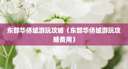 东部华侨城游玩攻略（东部华侨城游玩攻略费用）