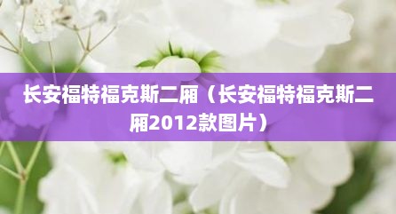 长安福特福克斯二厢（长安福特福克斯二厢2012款图片）