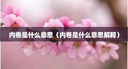 内卷是什么意思（内卷是什么意思解释）