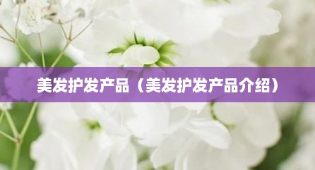 美发护发产品（美发护发产品介绍）