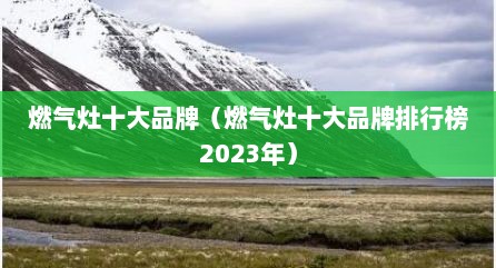 燃气灶十大品牌（燃气灶十大品牌排行榜2023年）