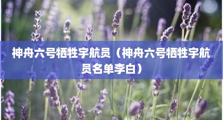 神舟六号牺牲宇航员（神舟六号牺牲宇航员名单李白）