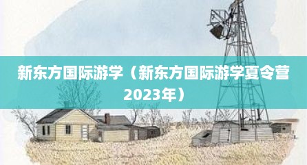 新东方国际游学（新东方国际游学夏令营2023年）