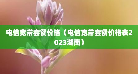 电信宽带套餐价格（电信宽带套餐价格表2023湖南）