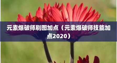 元素爆破师刷图加点（元素爆破师技能加点2020）