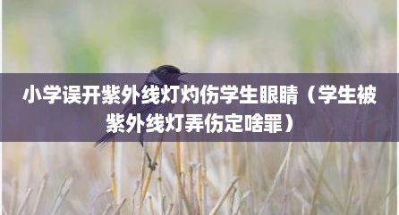 小学误开紫外线灯灼伤学生眼睛（学生被紫外线灯弄伤定啥罪）