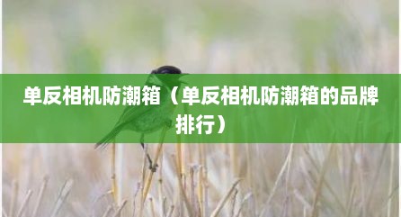 单反相机防潮箱（单反相机防潮箱的品牌排行）