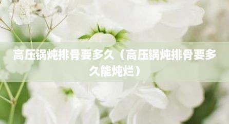 高压锅炖排骨要多久（高压锅炖排骨要多久能炖烂）