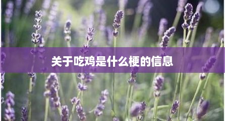 关于吃鸡是什么梗的信息